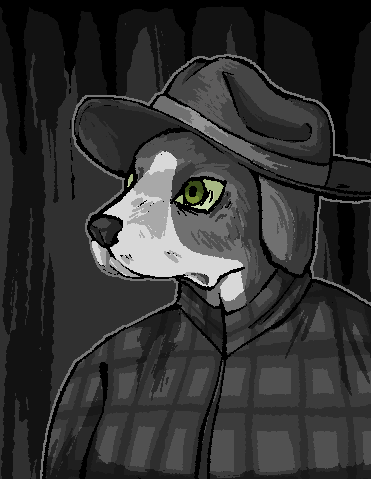 A digital drawing of an anthro foxhound dog from the shoulders up. She is wearing a cowboy hat and a plaid button up.